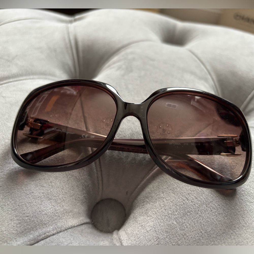 Ferragamo Sunnies (NWT)
